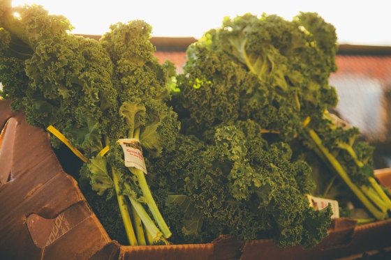 Leafy green organic Kale