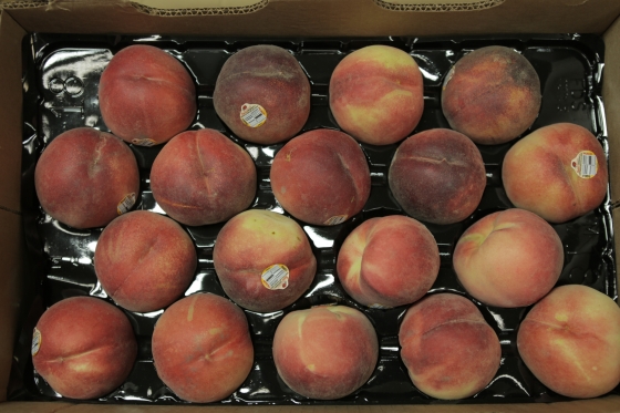 Organic White Peaches