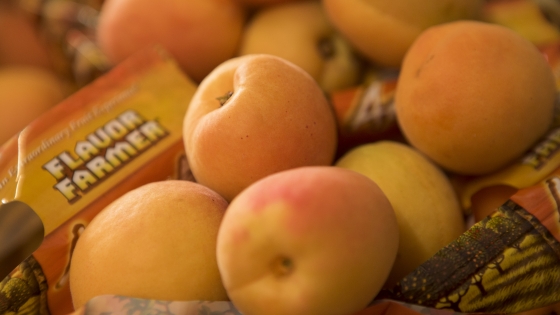 California Gold Apricots