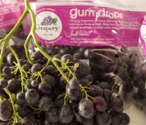 Gum Drops Grapes from the Grapery