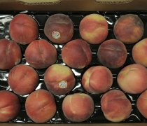 Organic White Peaches