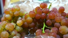 Red Seedless & Muscat Grapes