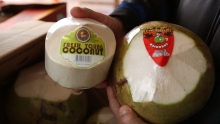 The Market Review - Young Coconut & Star Fruit