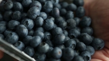 Summer Organic Blueberries & Cling Peaches