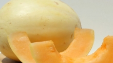 California Organic Summer Fruit! Gravenstein Apples & Orange Flesh Honeydew Melons | Shasta Produce Market Review