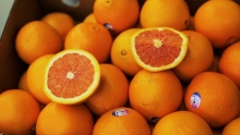The Market Review - Cara Cara Navels & Moro Blood Oranges