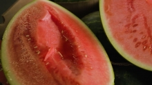 The Market Review - Watermelon and Cantaloupe
