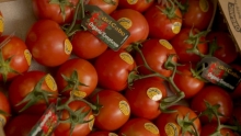 The Market Review - Del Cabo Tomatoes & New Crop California Potatoes