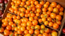 The Market Review - Pence Peaches & Durst Organics Tomatoes