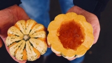 The Market Review - Assorted Hard Squash