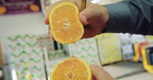 The Market Review - Valencia Orange & Super Mango