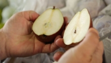 The Market Review - Meyer's Pride Pears