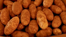 The Market Review - Russet Potatoes & Fresh Cranberries