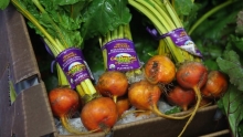 The Market Review - Organic Beets & Leeks