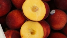 The Market Review - South American Fruit