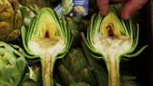The Market Review - Frost Kissed Artichokes & Ebony Queen Plumcots