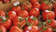 The Market Review - Vine-Ripe Tomatoes & Asparagus