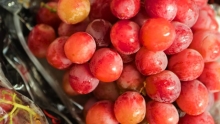 The Market Review - Sparkle Grapes & Passion Fire Grapes