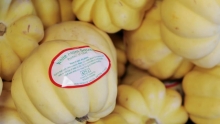 The Market Review - Assorted Fall Squash