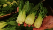 The Market Review - Baby Bok Choy & Comice Pears