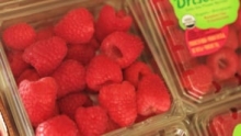 The Market Review - Organic Driscoll's Berries