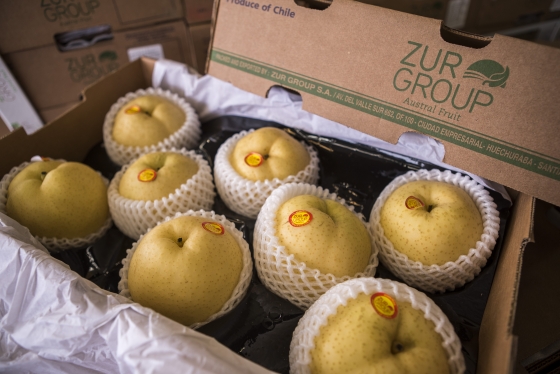 Asian Pears from Chile