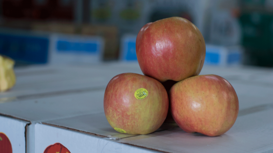 Organic, fuji, apple, shasta, produce, market, fruit