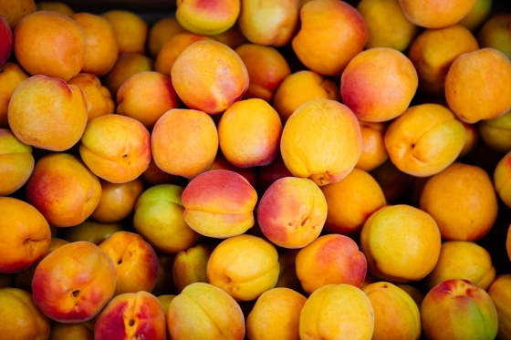 Apricots - Rival | Shasta Produce