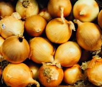 Sweetie Sweet Onions