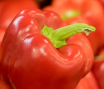 Green, pepper, bell pepper, fruit, shasta, produce, agriculture, horticulture, wholesale, red