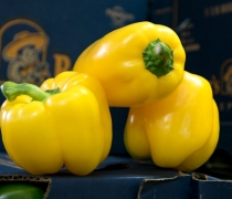 Yellow Bell Peppers 